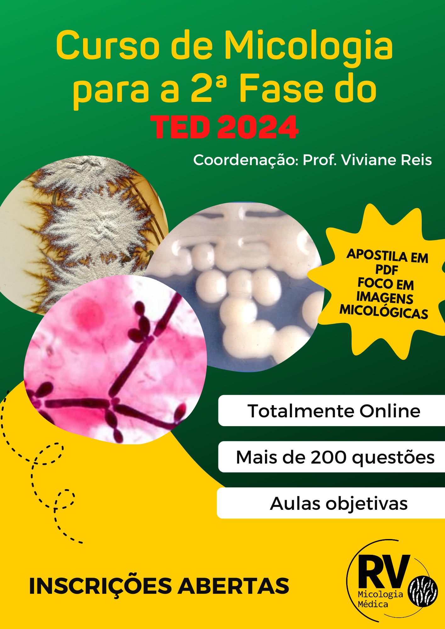 capa curso 2ted2024